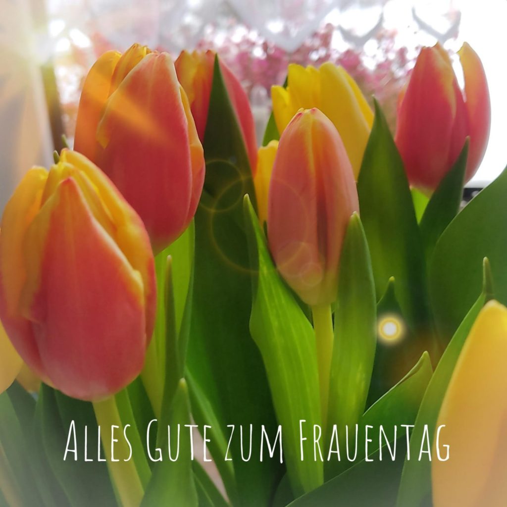 Blumen Zum Internationalen Frauentag