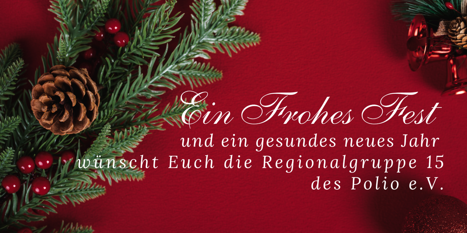 RG15 Polio 2022 Weihnachtenbanner