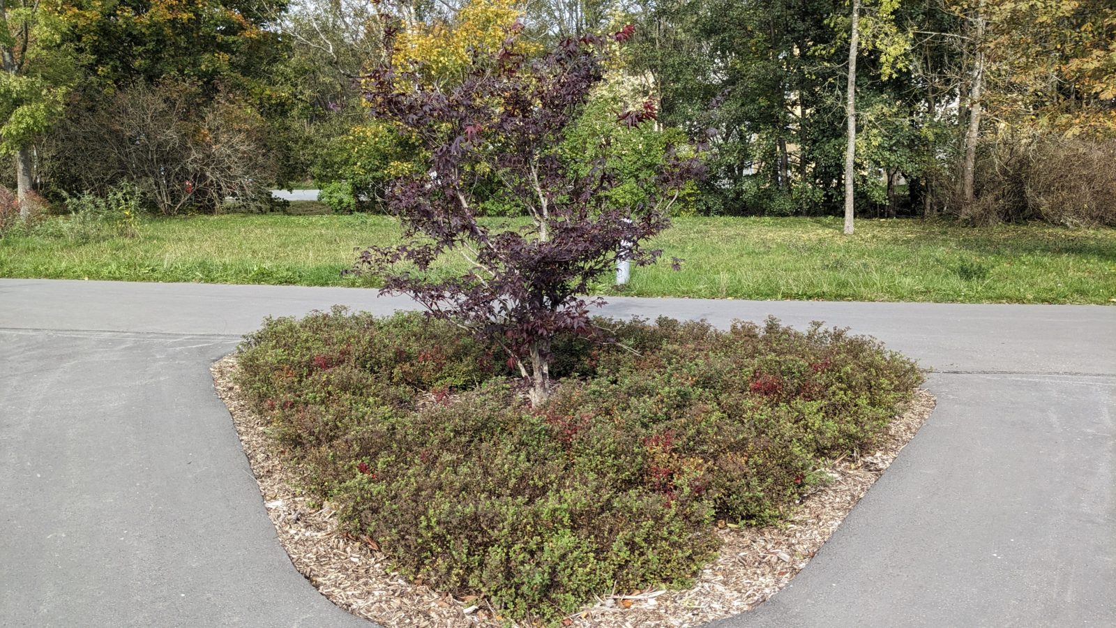 Herbstspaziergang im Kurpark Wiesenbad