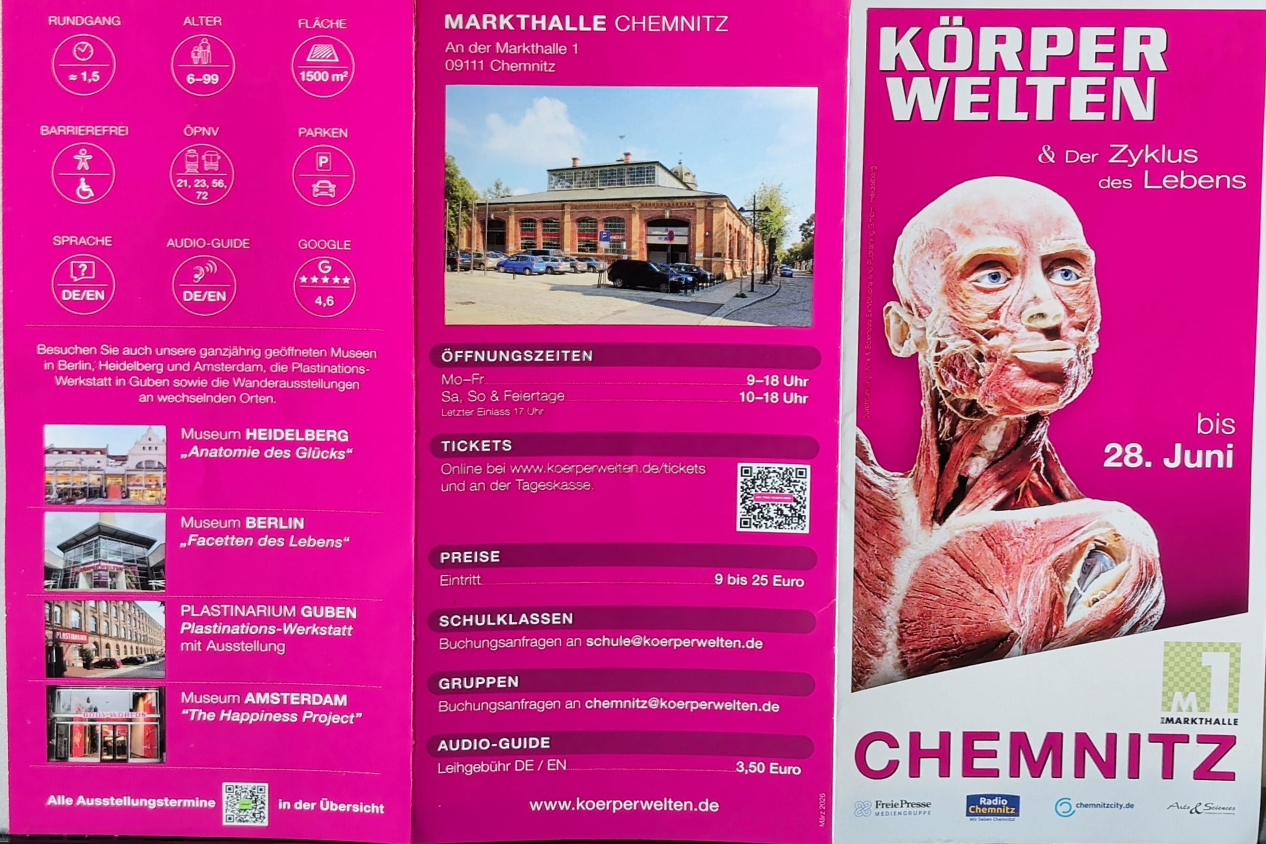 Ein Blick unter die Haut – Die Genialität des Lebens hautnah erleben