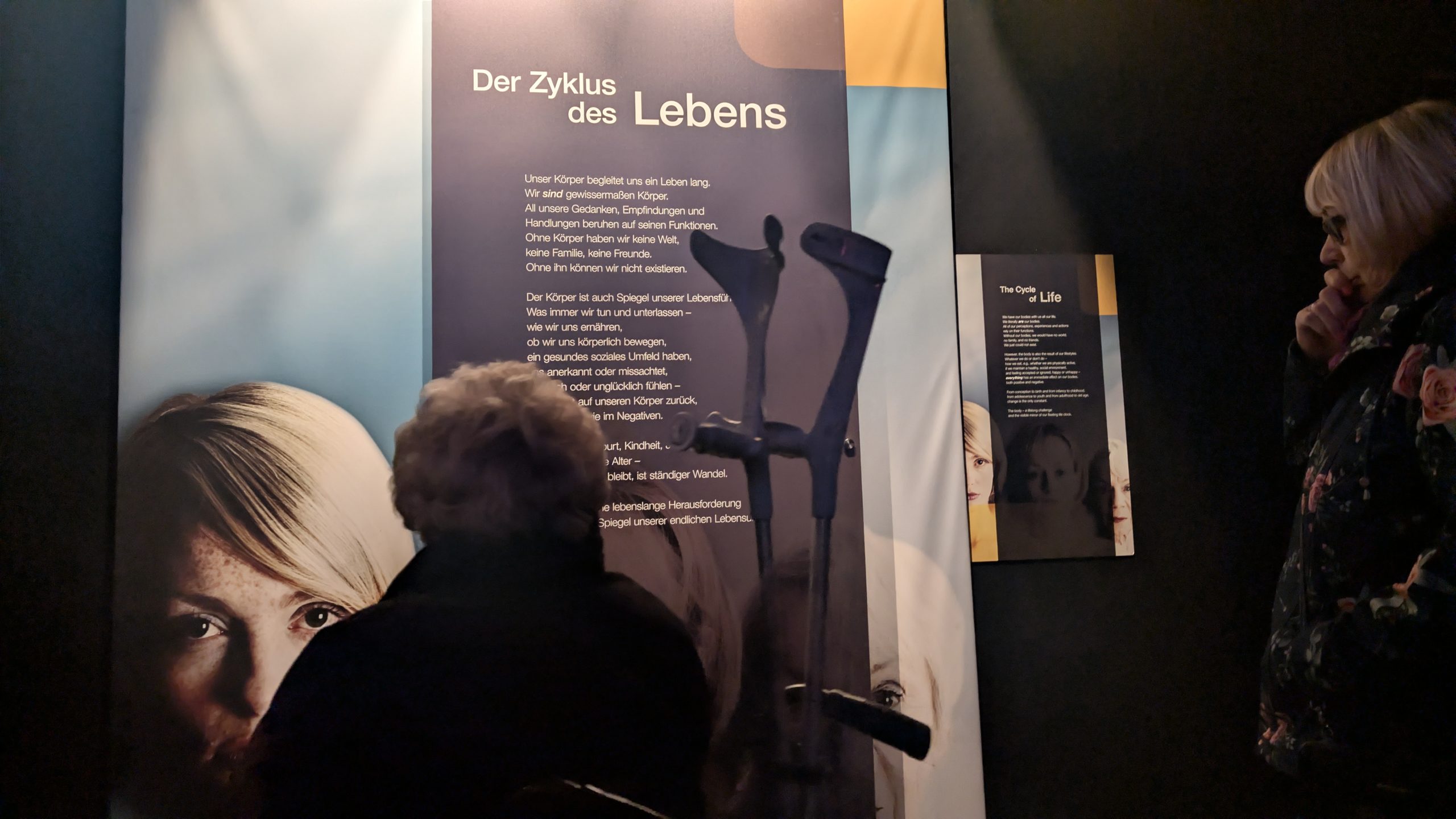 Ein Blick unter die Haut – Die Genialität des Lebens hautnah erleben