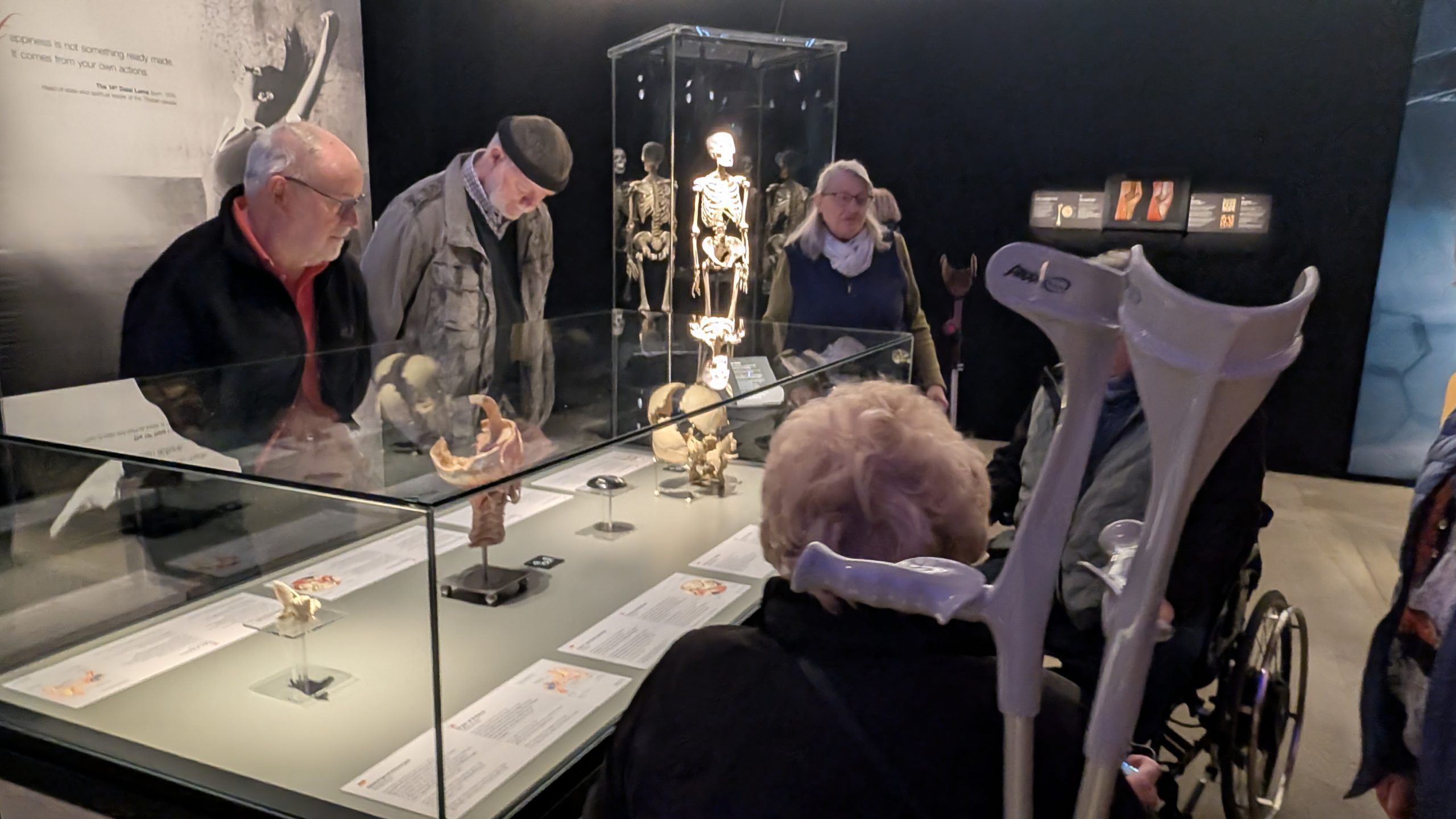 Ein Blick unter die Haut – Die Genialität des Lebens hautnah erleben