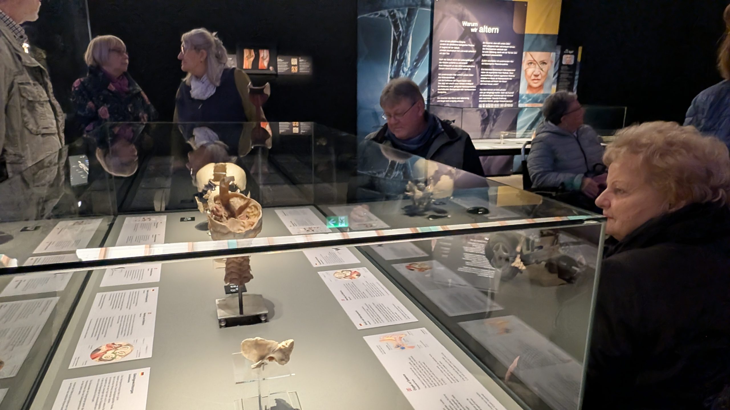 Ein Blick unter die Haut – Die Genialität des Lebens hautnah erleben