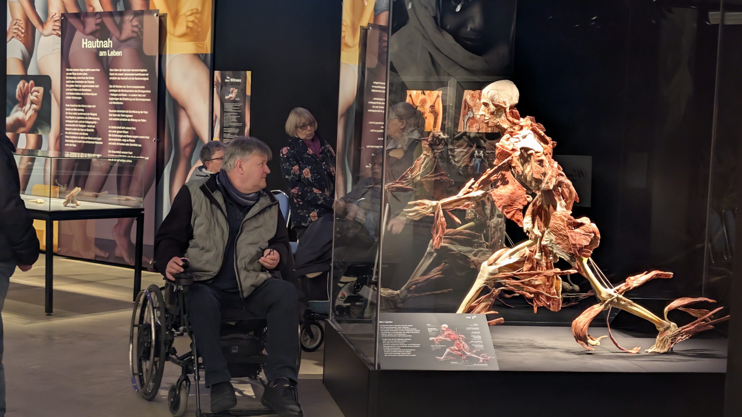 Ein Blick unter die Haut – Die Genialität des Lebens hautnah erleben