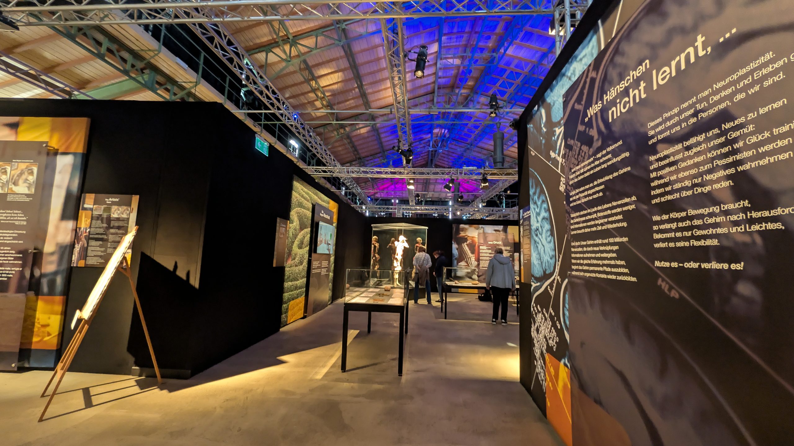 Ein Blick unter die Haut – Die Genialität des Lebens hautnah erleben