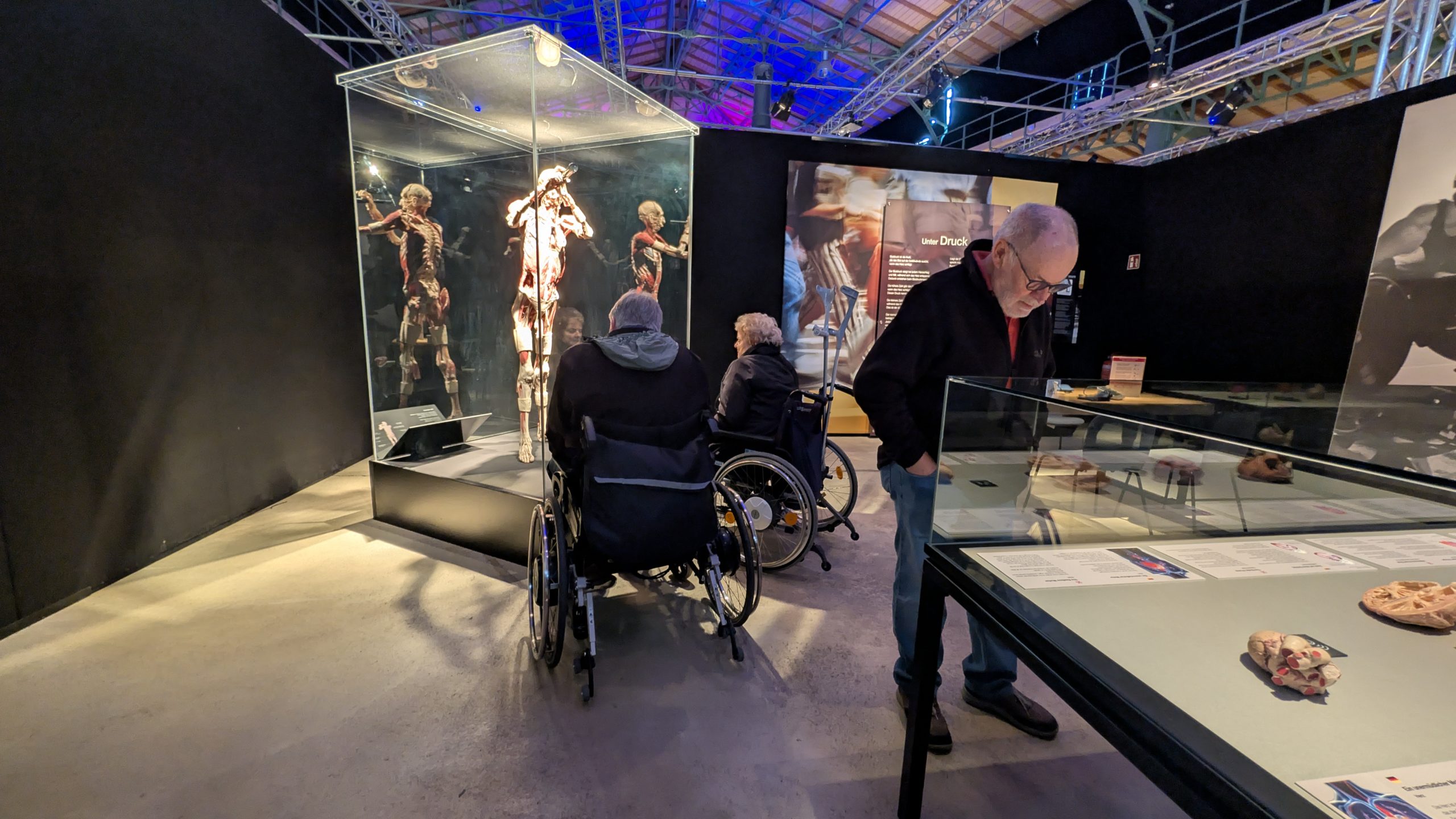 Ein Blick unter die Haut – Die Genialität des Lebens hautnah erleben