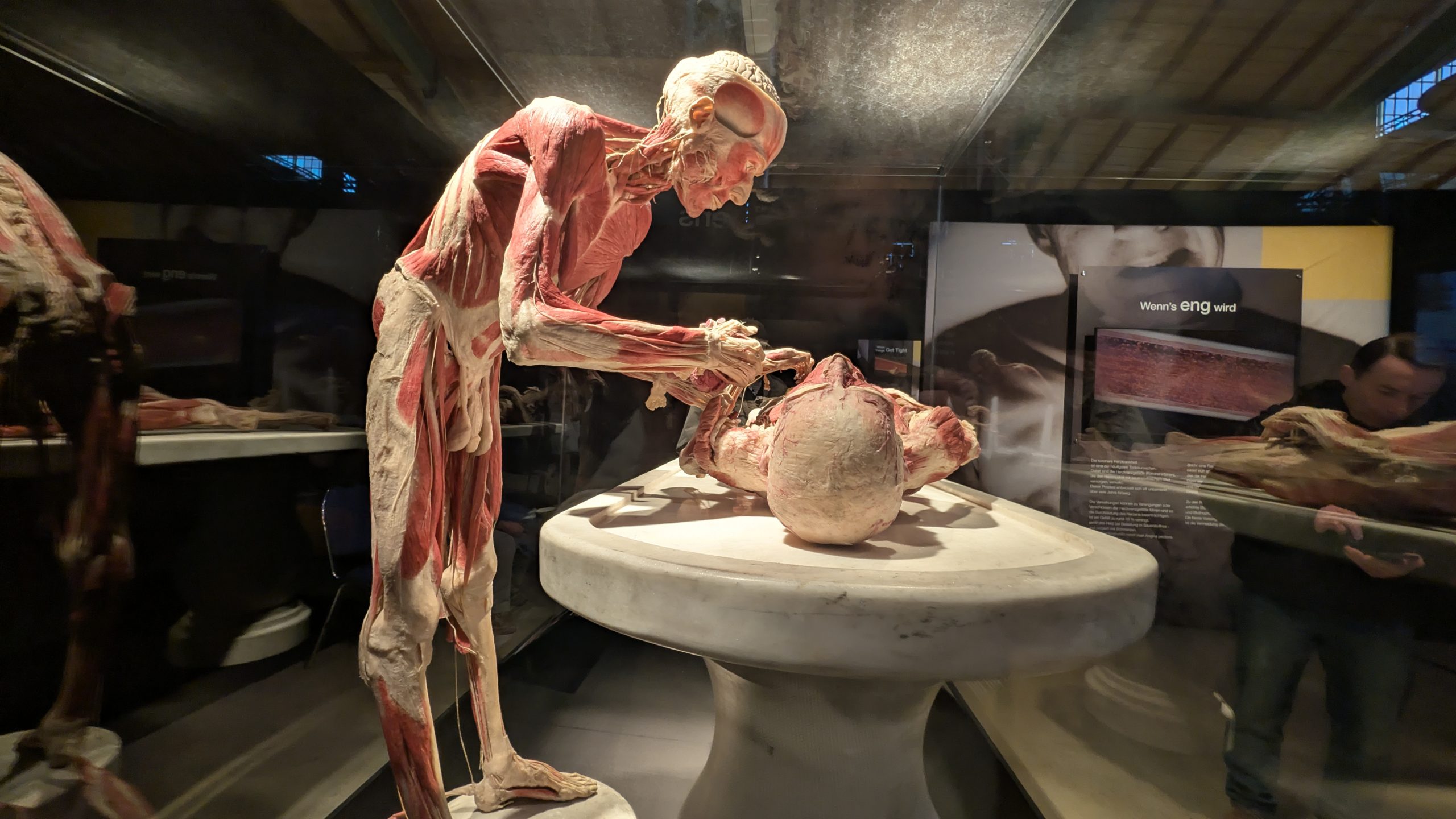 Ein Blick unter die Haut – Die Genialität des Lebens hautnah erleben