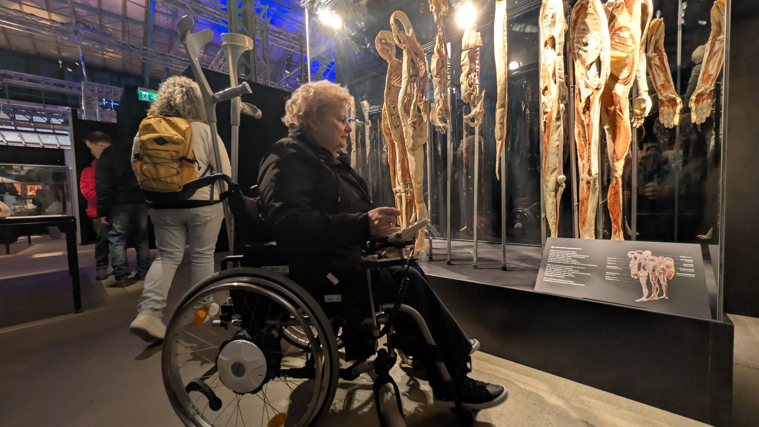 Ein Blick unter die Haut – Die Genialität des Lebens hautnah erleben