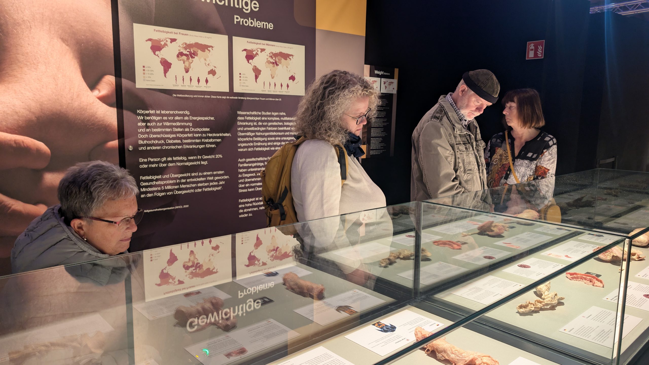 Ein Blick unter die Haut – Die Genialität des Lebens hautnah erleben