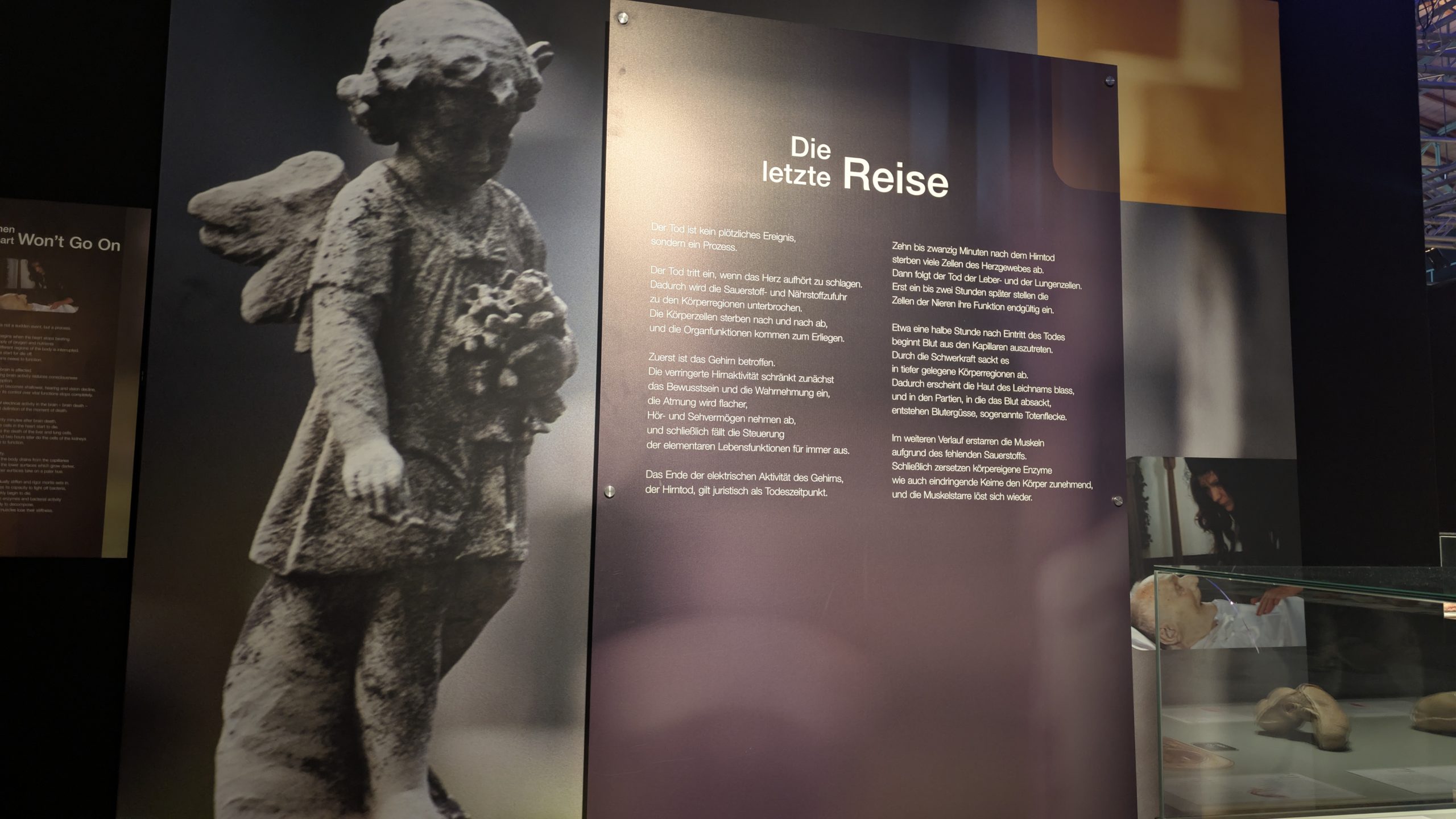 Ein Blick unter die Haut – Die Genialität des Lebens hautnah erleben