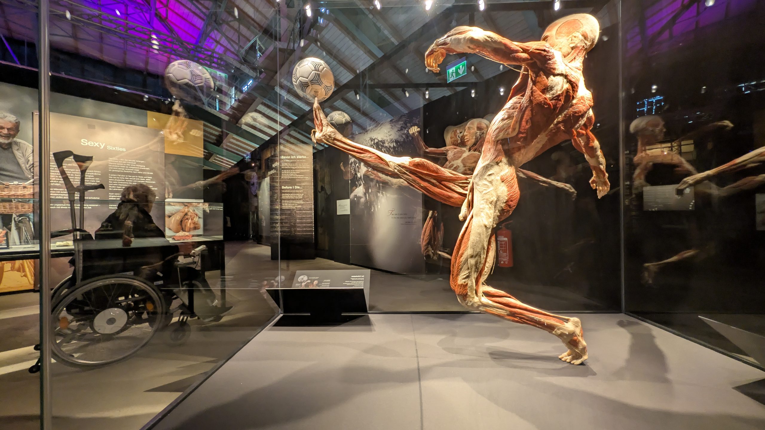 Ein Blick unter die Haut – Die Genialität des Lebens hautnah erleben